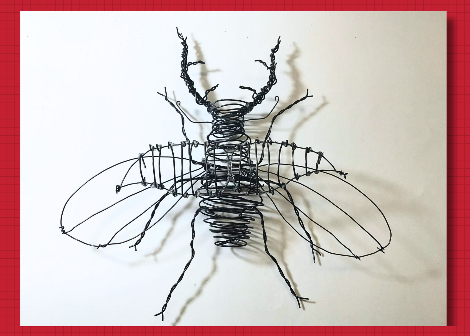 Wire 3D artwork of an insect